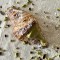 Waffle Pantry Italian Pistachio Cream 20%, 6.6 lb Waffle Pantry Italian Pistachio Cream 20%, 6.6 lb